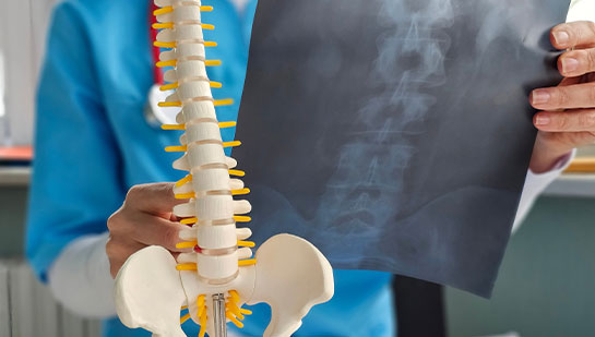 Science in Chiropractic in Corte Madera CA